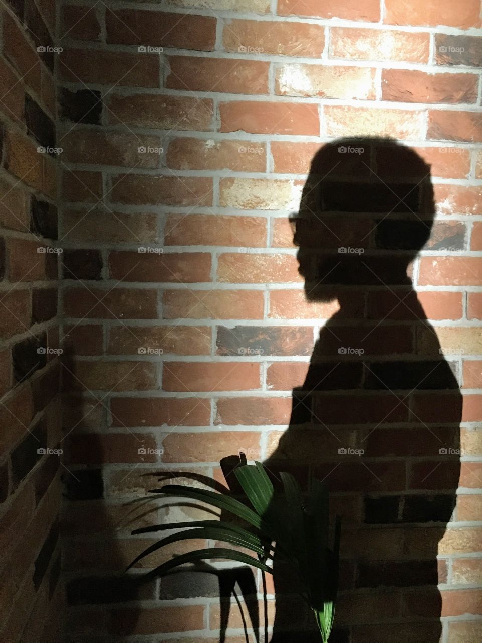 Shadow man