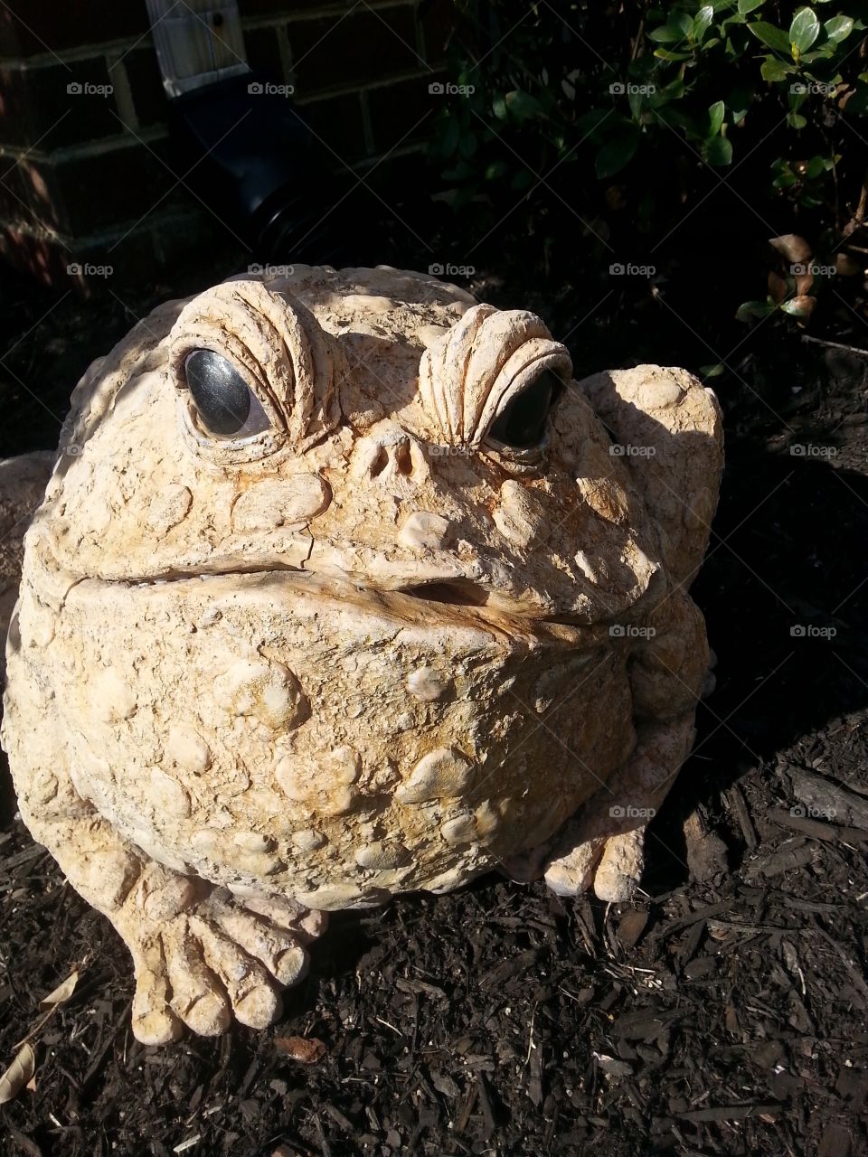Stone frog 