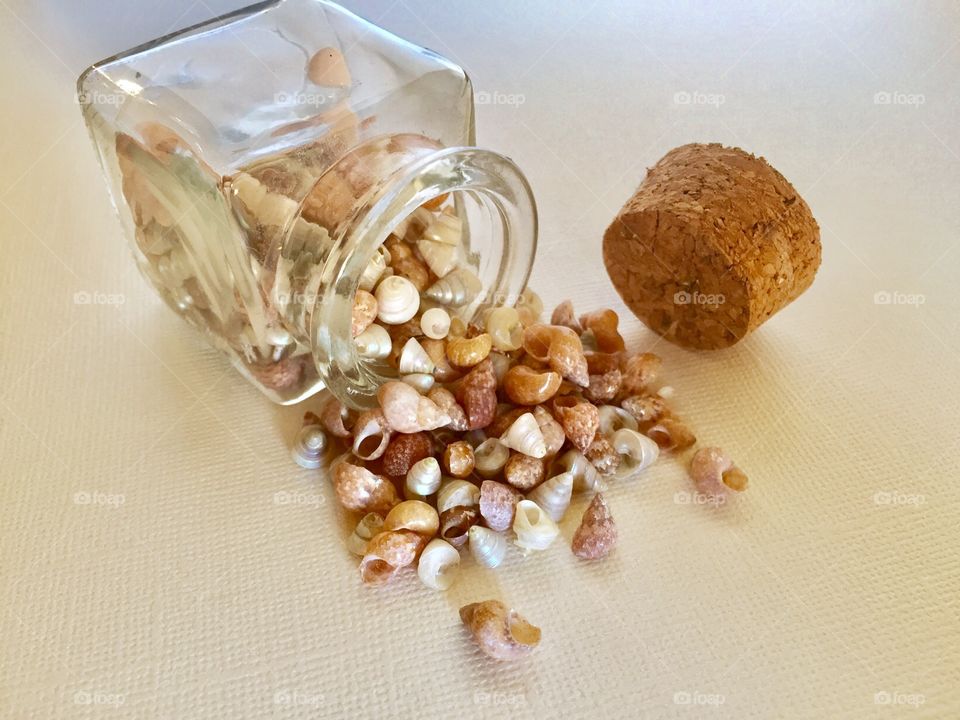 Seashells spill out of the bottle glass