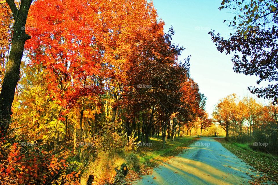 Crisp autumn walk 