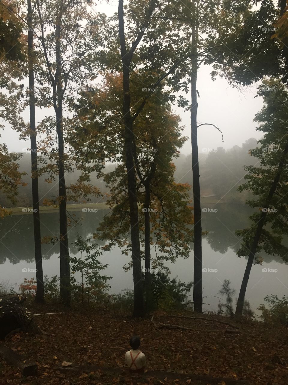 Foggy morning on the lake 
