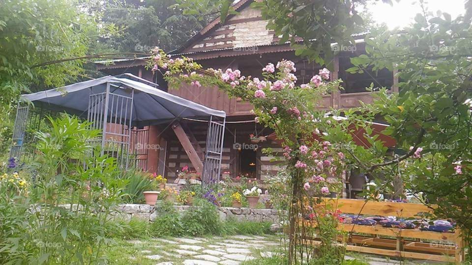 rest house, covered with green grass and trees and beautiful flower, good time with family and friends