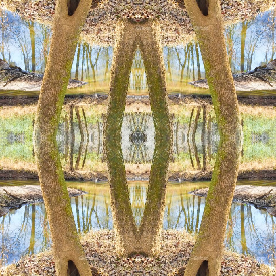 Alcovy River Hike Mirror Photo Play