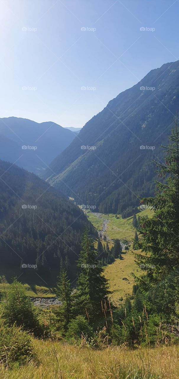 Carpathian mountains