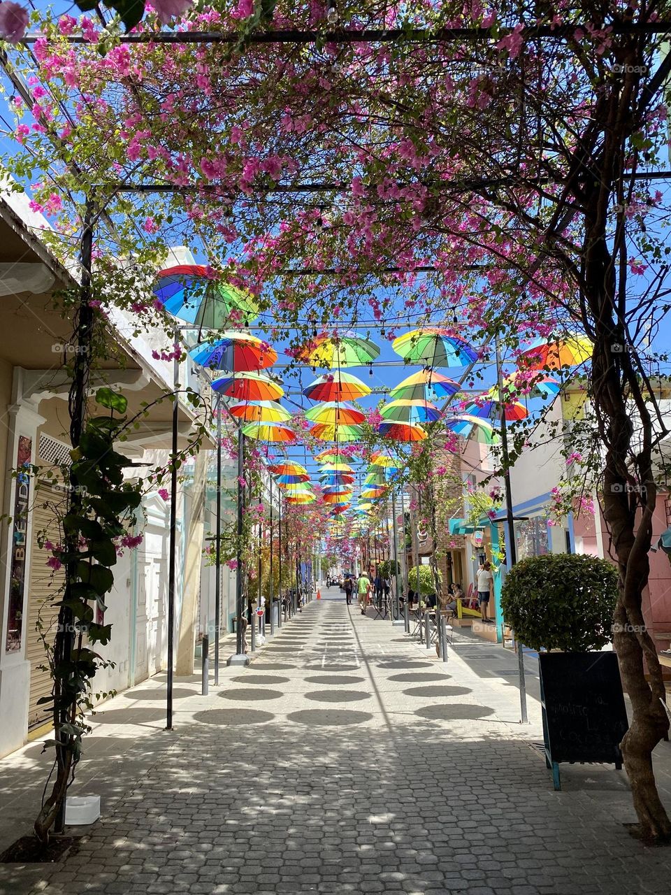 Umbrella street in Puerto Plata in the Dominican Republic 