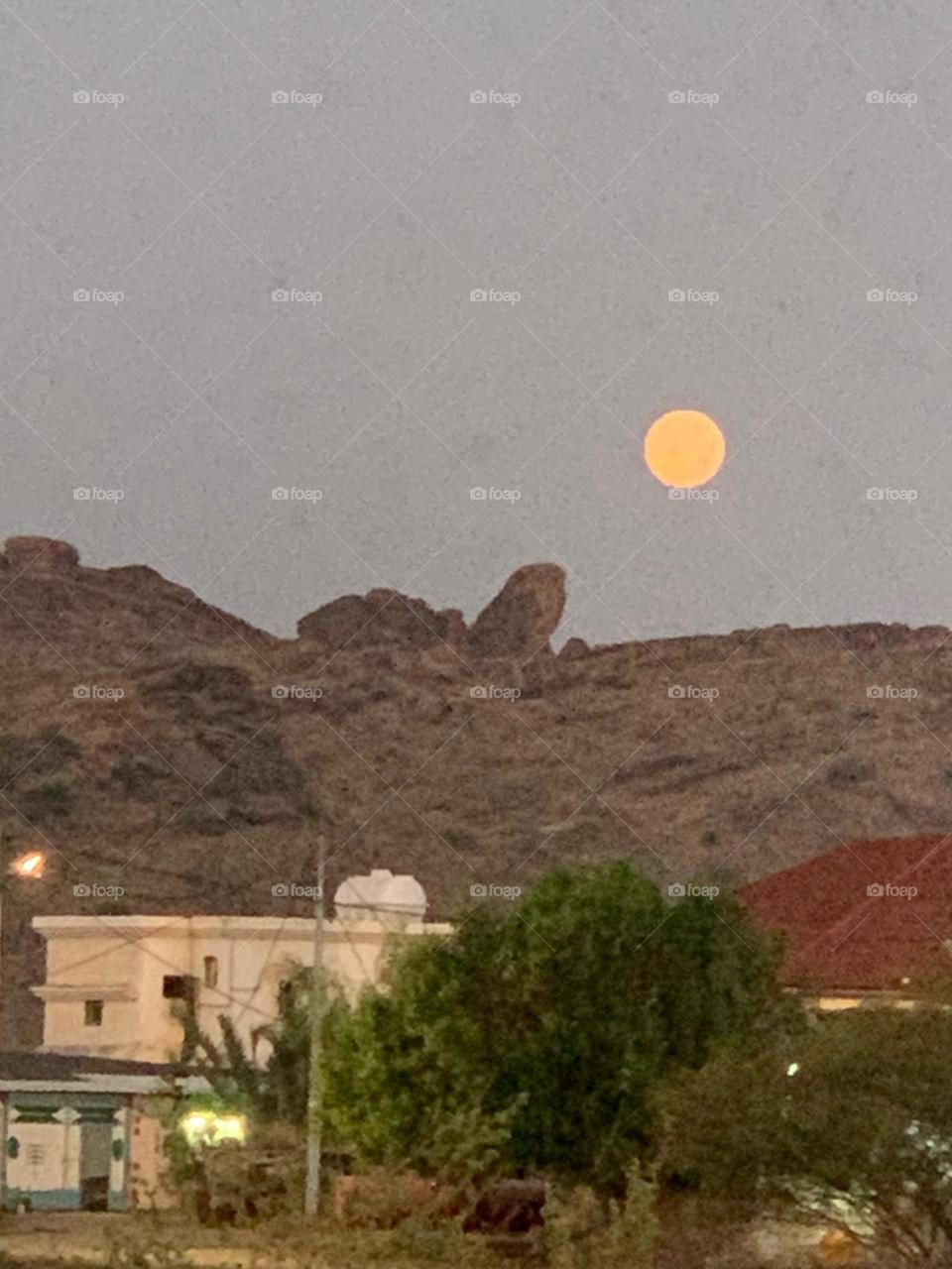 i am poor and need dollars, I have family conditions