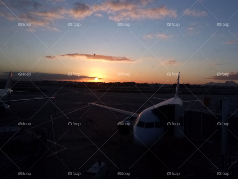 The day rises on  Tunis