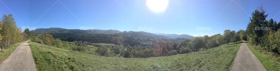 Steady hands and a beautiful day for a walk.