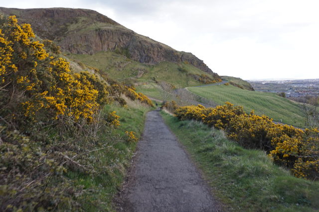 Path