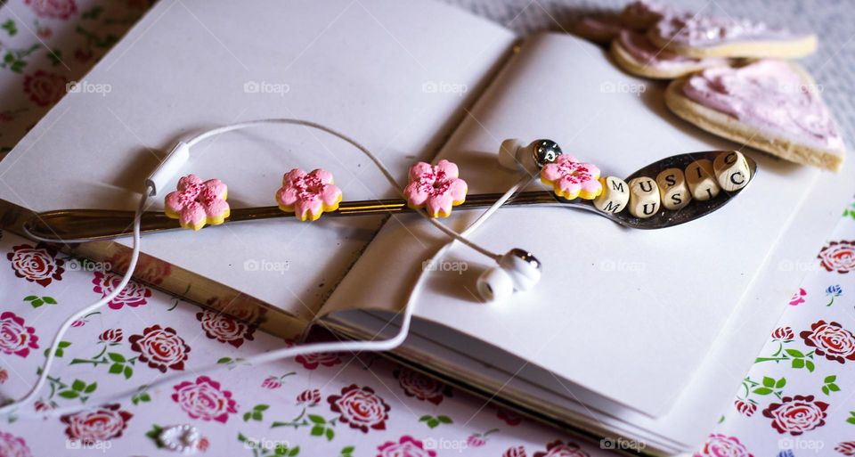 music diary sakura cookie spoon earphone