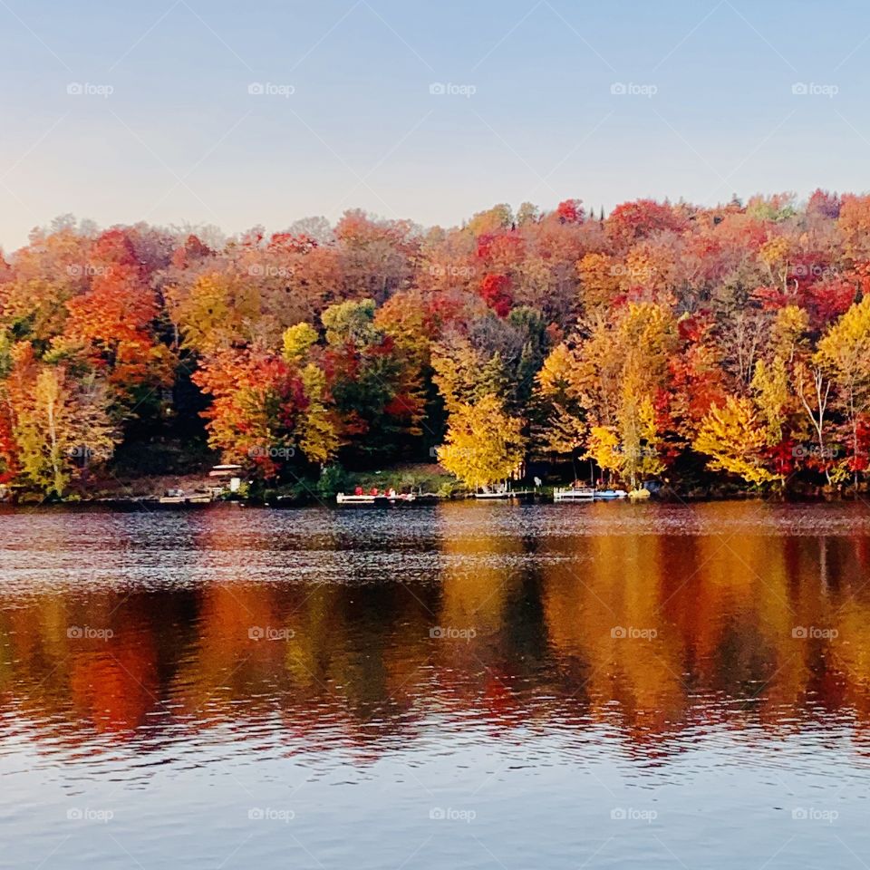 Autumn at the lake 🍂