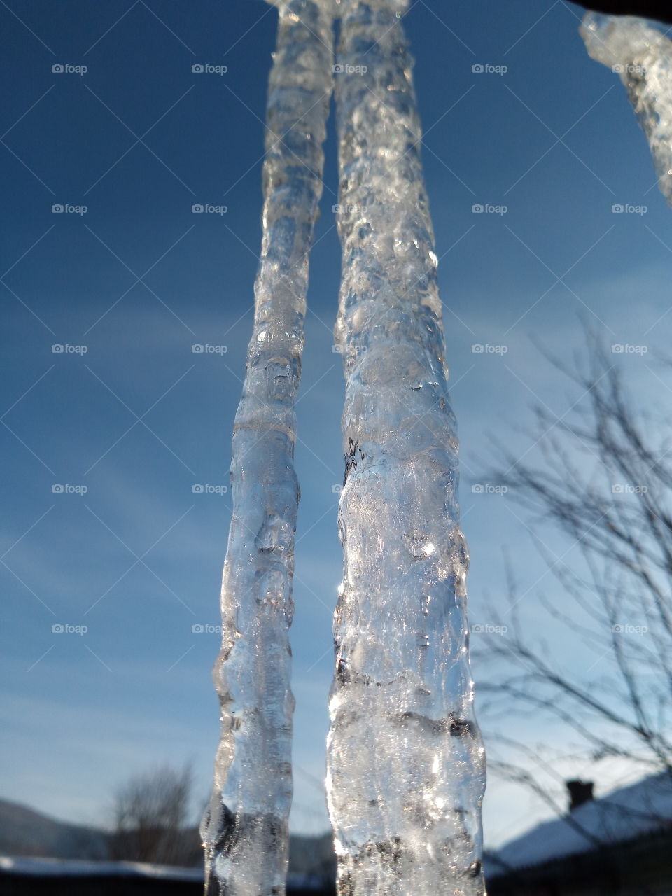 icicles