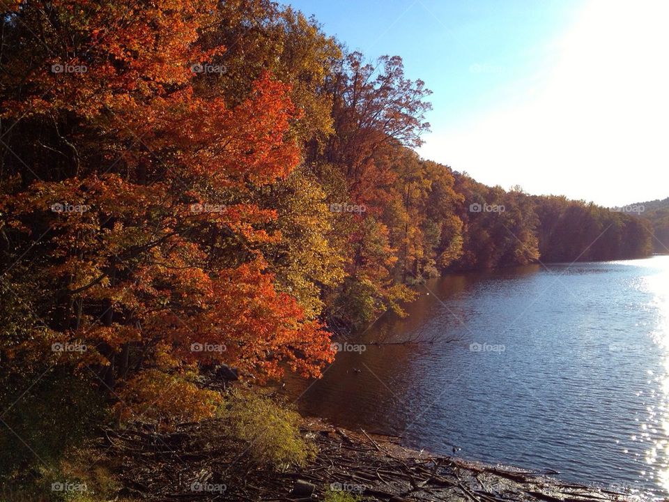Fall on the lake