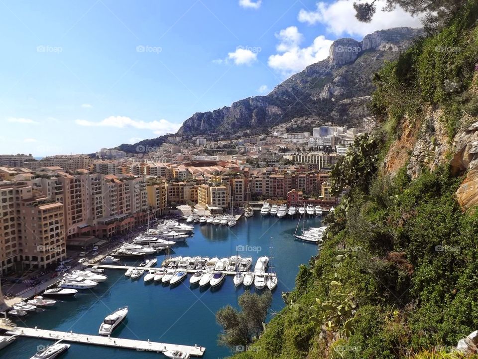 bay in monaco. boats docked by the shore in monaco with trees in front and mansions, shops, and hotels behind