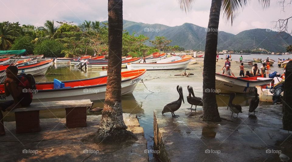 beautiful place between beach and coast.  pelicans and beautifully colored boats