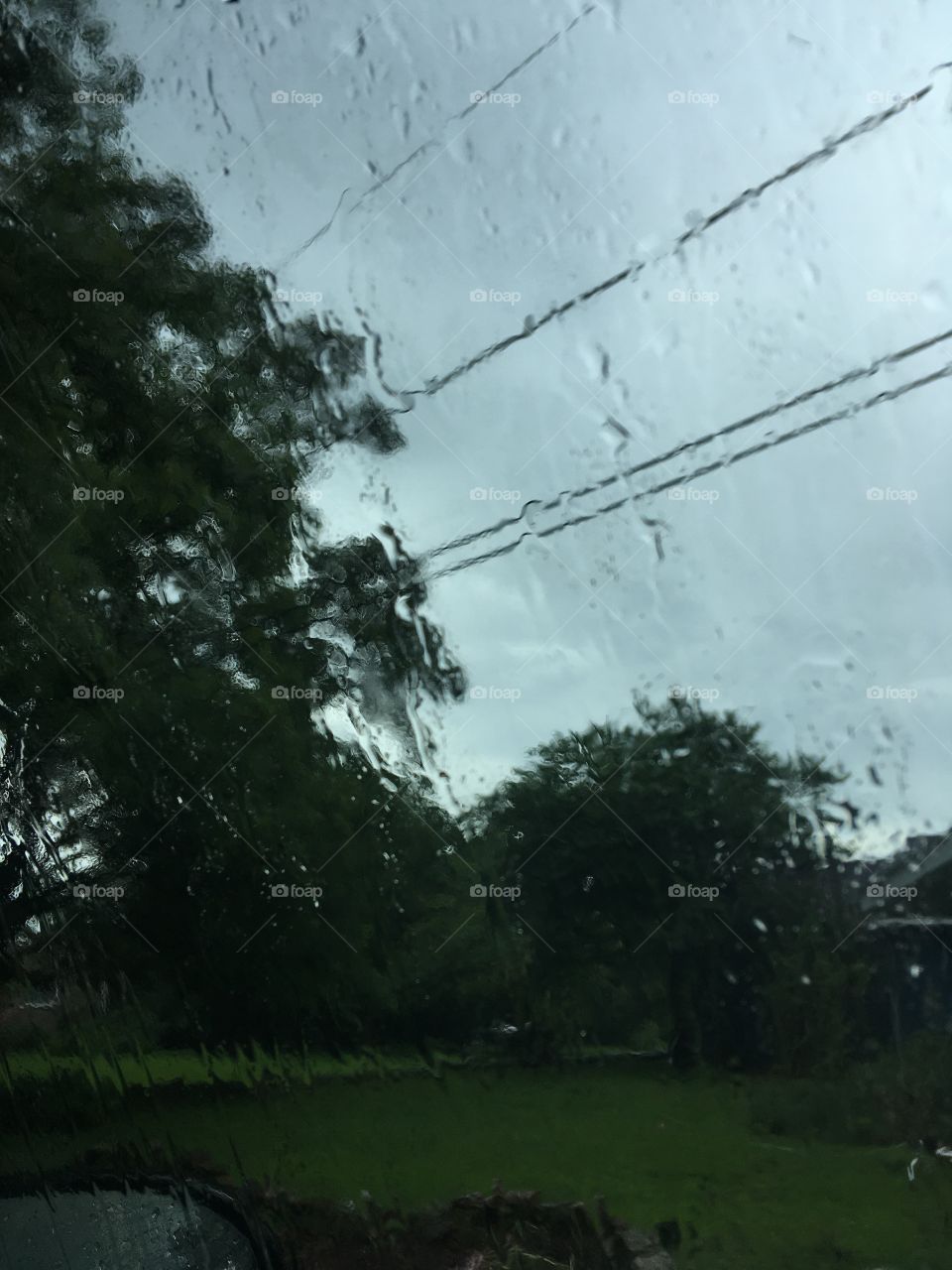 This kind of makes me think of how I remember most of my life, a bit blurry.    