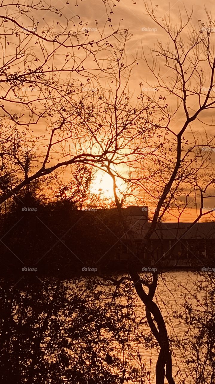 The evening wears on the sky is changing and the cooling effect of night is near. The Sun is falling and Night colors are becoming more visible.