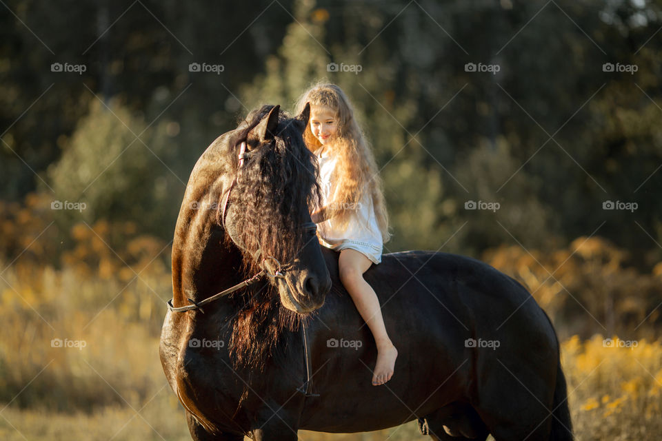 Little girl with black fresian stallion at summer evening 