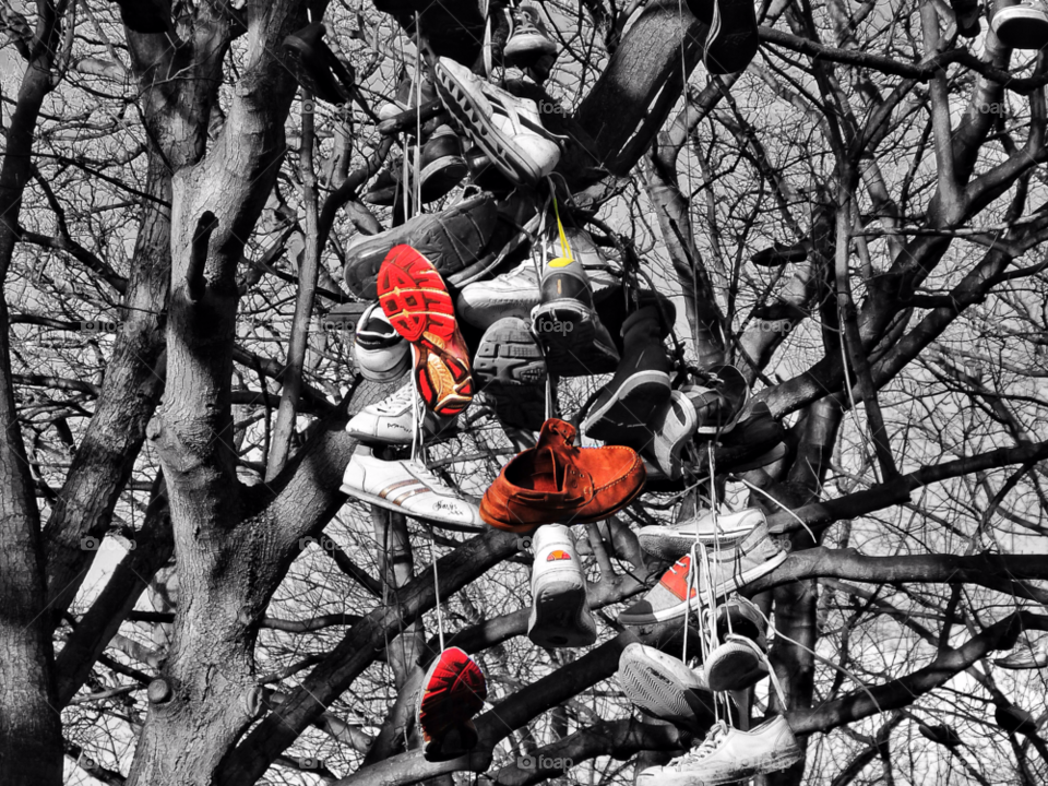 tree shoes trees branches by Raid1968