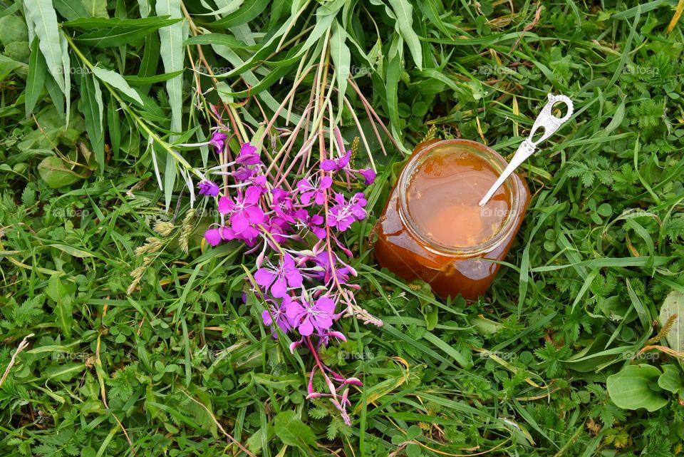 Flowers and honey