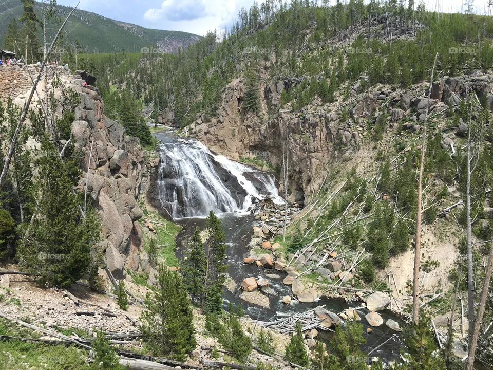 Falls
