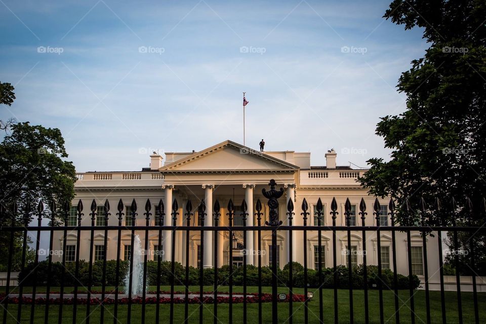 White House 