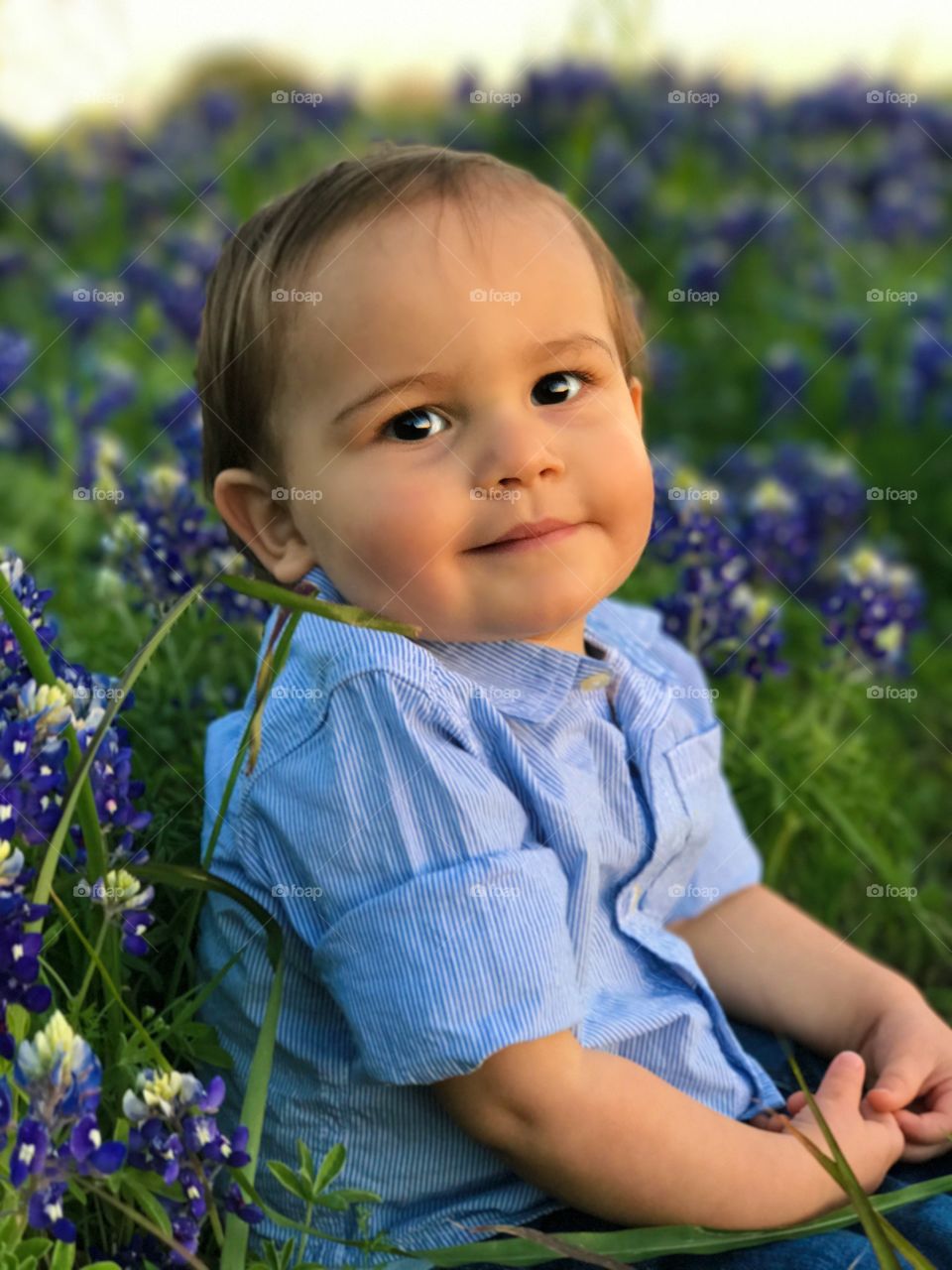 Little brother in the bluebonnets