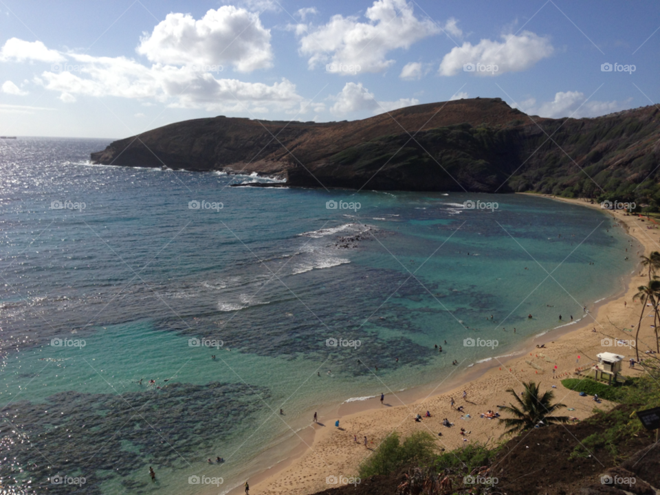 beach shore hawaii honolulu by pugsley