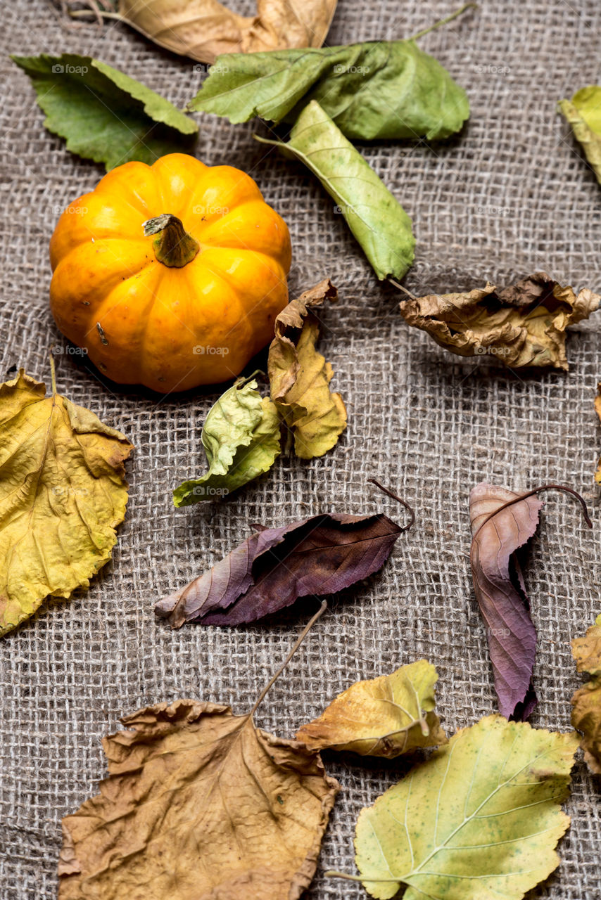 autumn backgroun, colorful leaves and pumpkin, view from the top