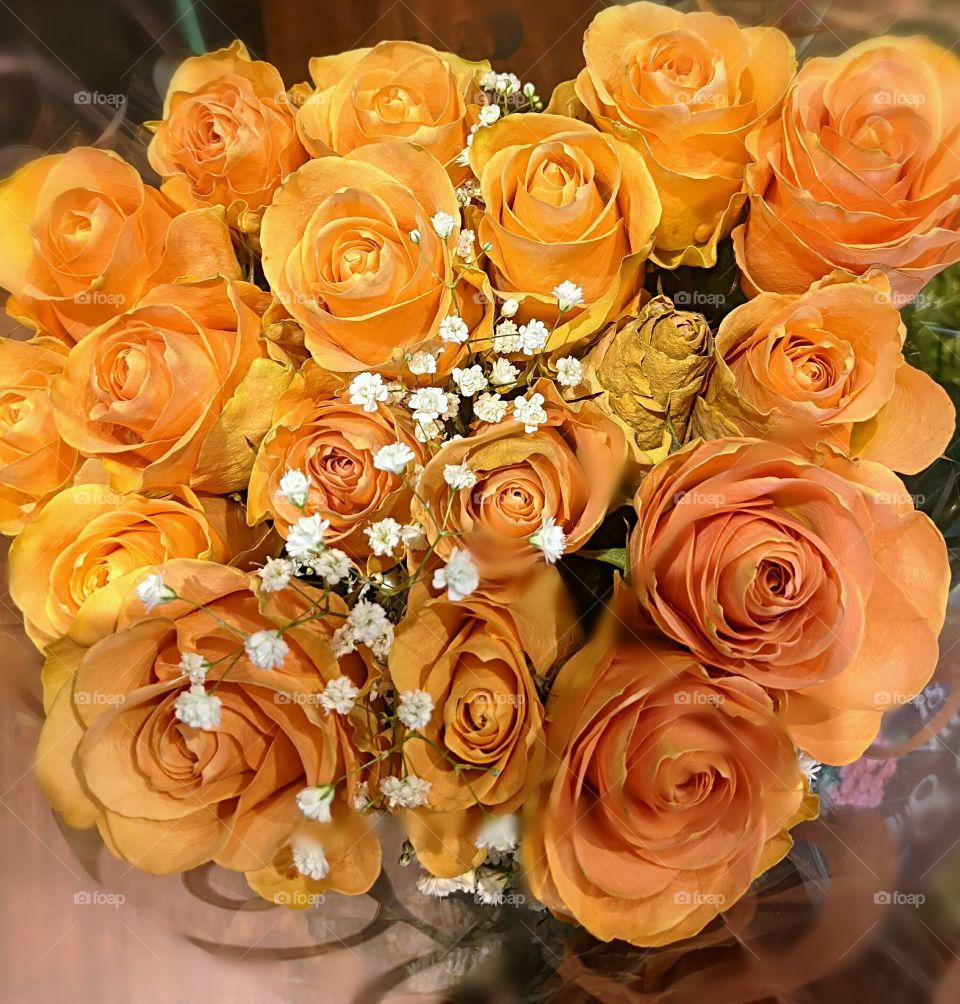 Orange roses