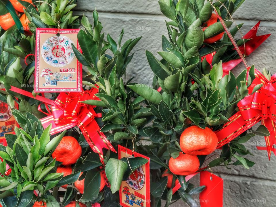 Chinese New Year Persimmon Tree. Traditional Chinese New Year Decorations
