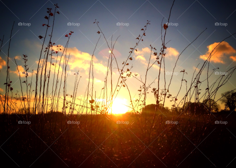 outdoors sunset england autumn by indiemuppet