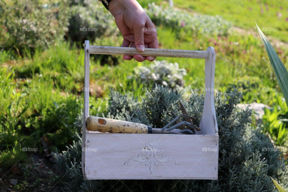 Plant Plants to Celebrate Earth Day