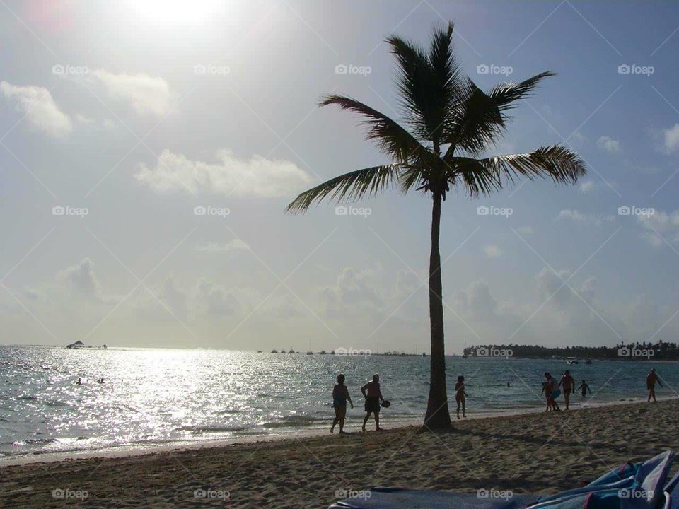 Sunrise on tropical beach, palm tree, people on shore. Monochromatic.