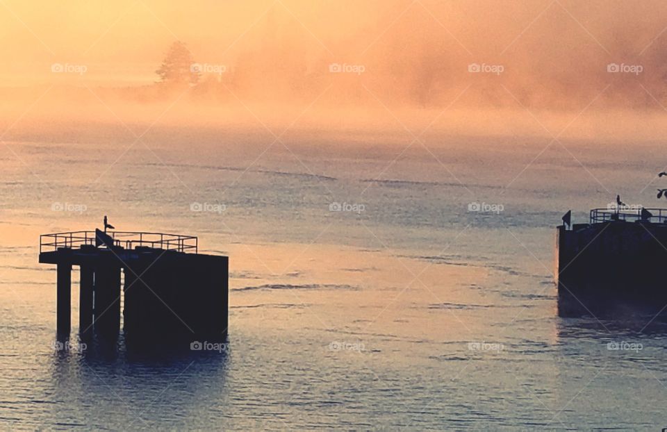 foggy morning on the water at the ferry terminal