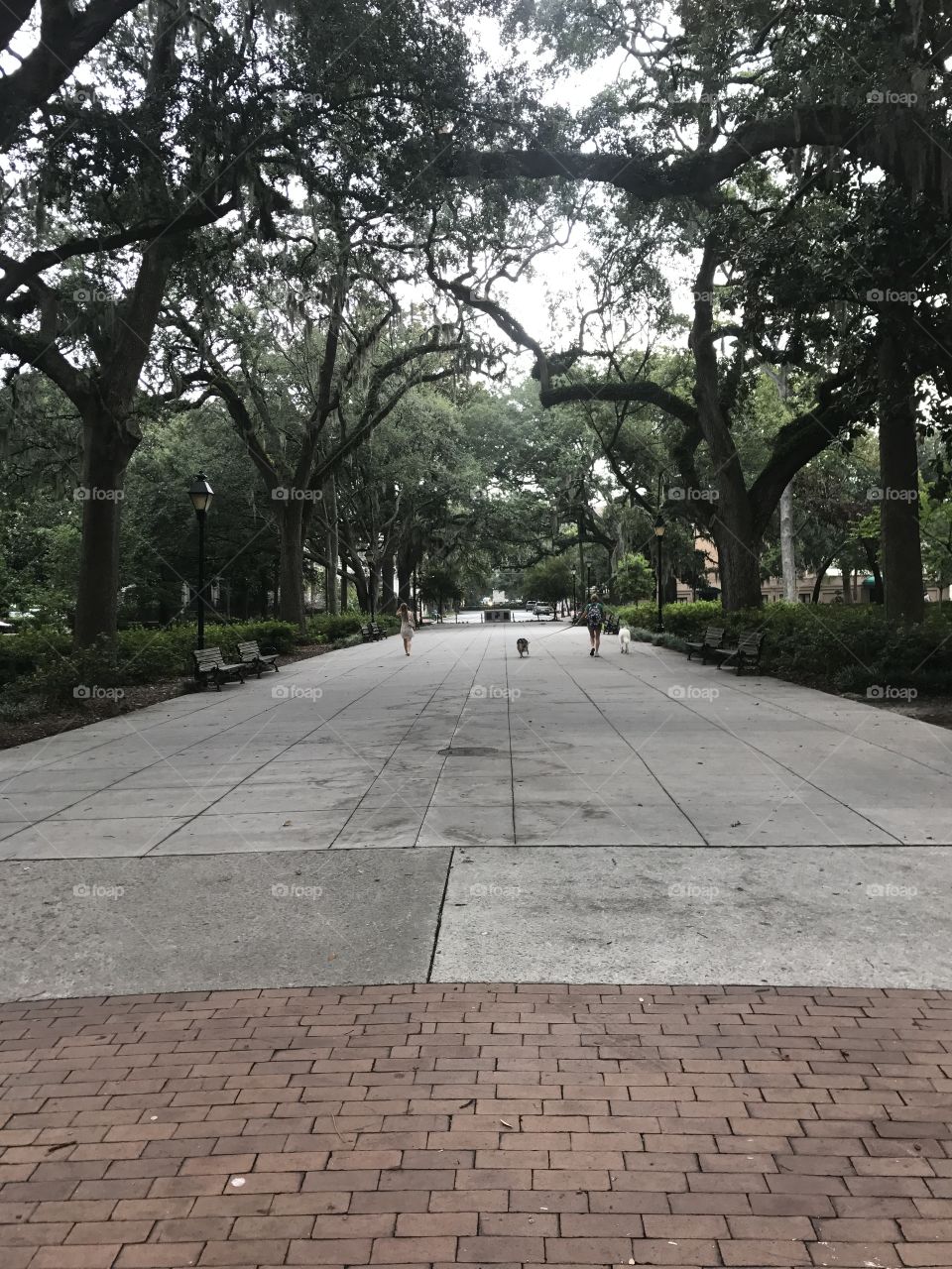 Forsyth park