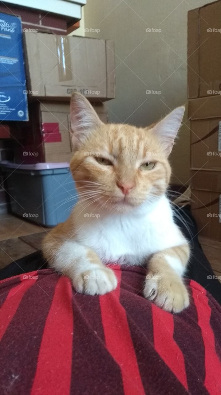 SAUDADE ETERNA 😭 Tom cuidando de mim 🥰