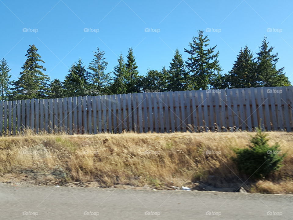 fence