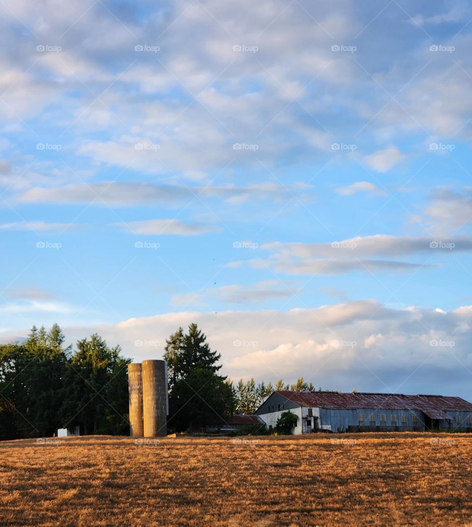 distant farmhouse with two silos against blue sky gray cloud background on a Summer evening in Oregon