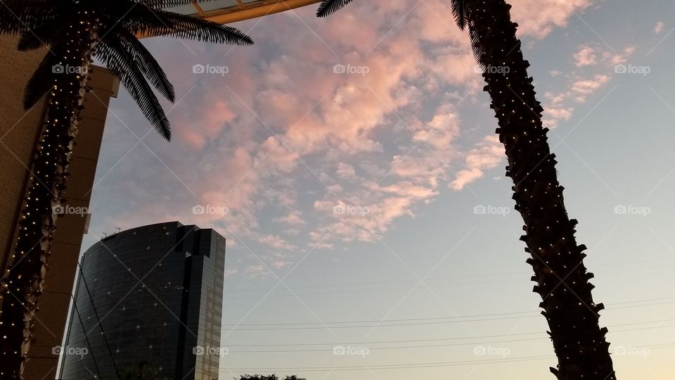 An upward view of palm trees and buildings against the sun-setting sky.