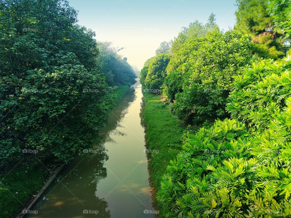 River across a forest