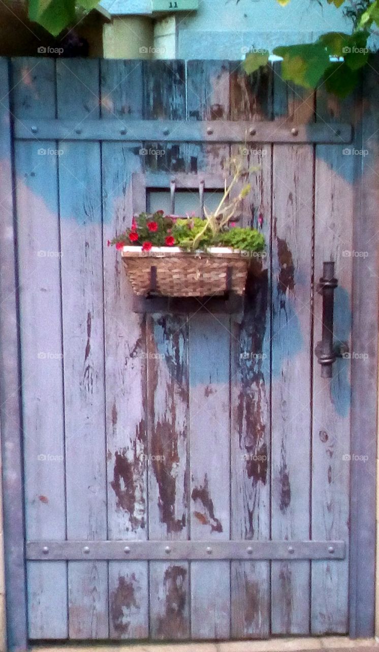 Vintage design of wooden family door