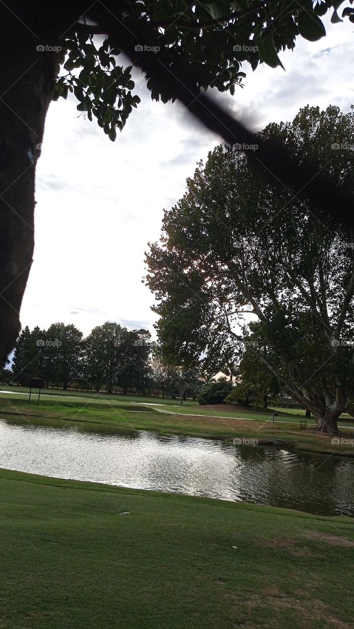 Shimmering silver lining on the water - brillo plateado en el agua del Golf SI