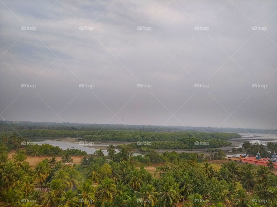 Beautiful scenic view of river flowing in forest