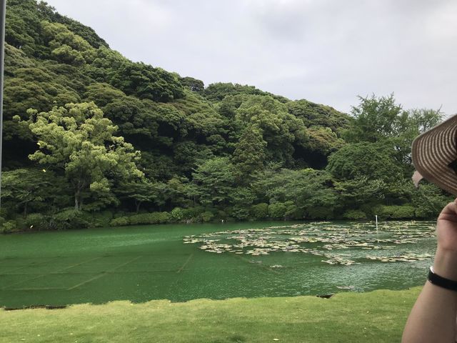 Hot spring bonds /Umi jigoku japAn
