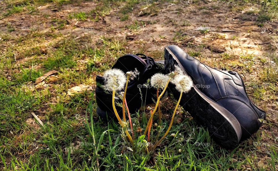 Resting shoes.