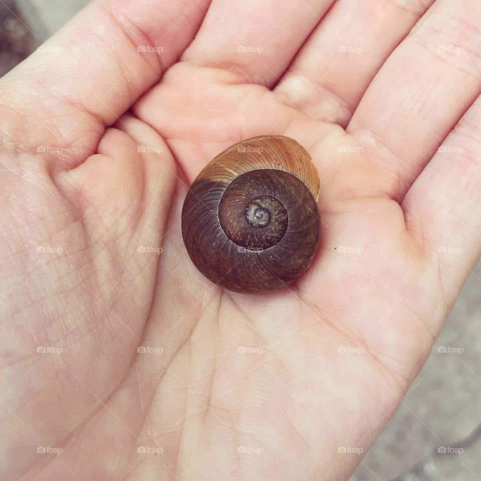 Life in the palm of my hand 