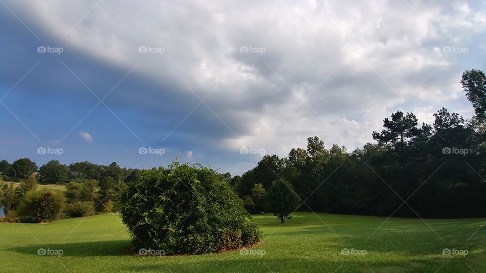 Tree, Landscape, Golf, No Person, Grass