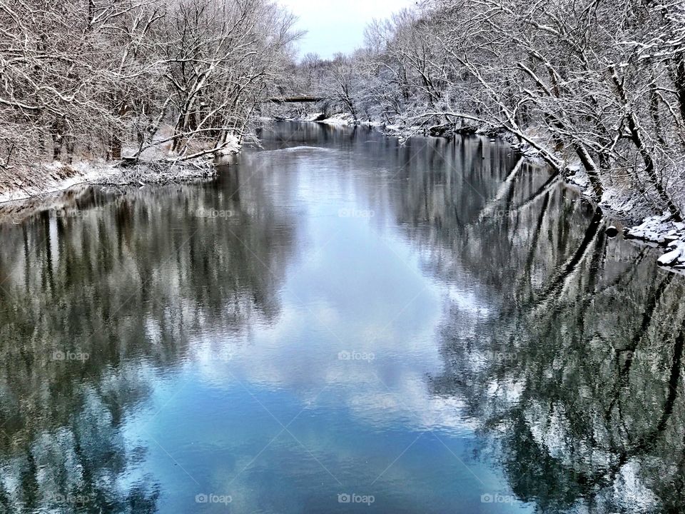 Trees reflected on river in winter