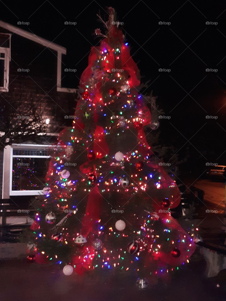 red ribbons  on a Christmas tree